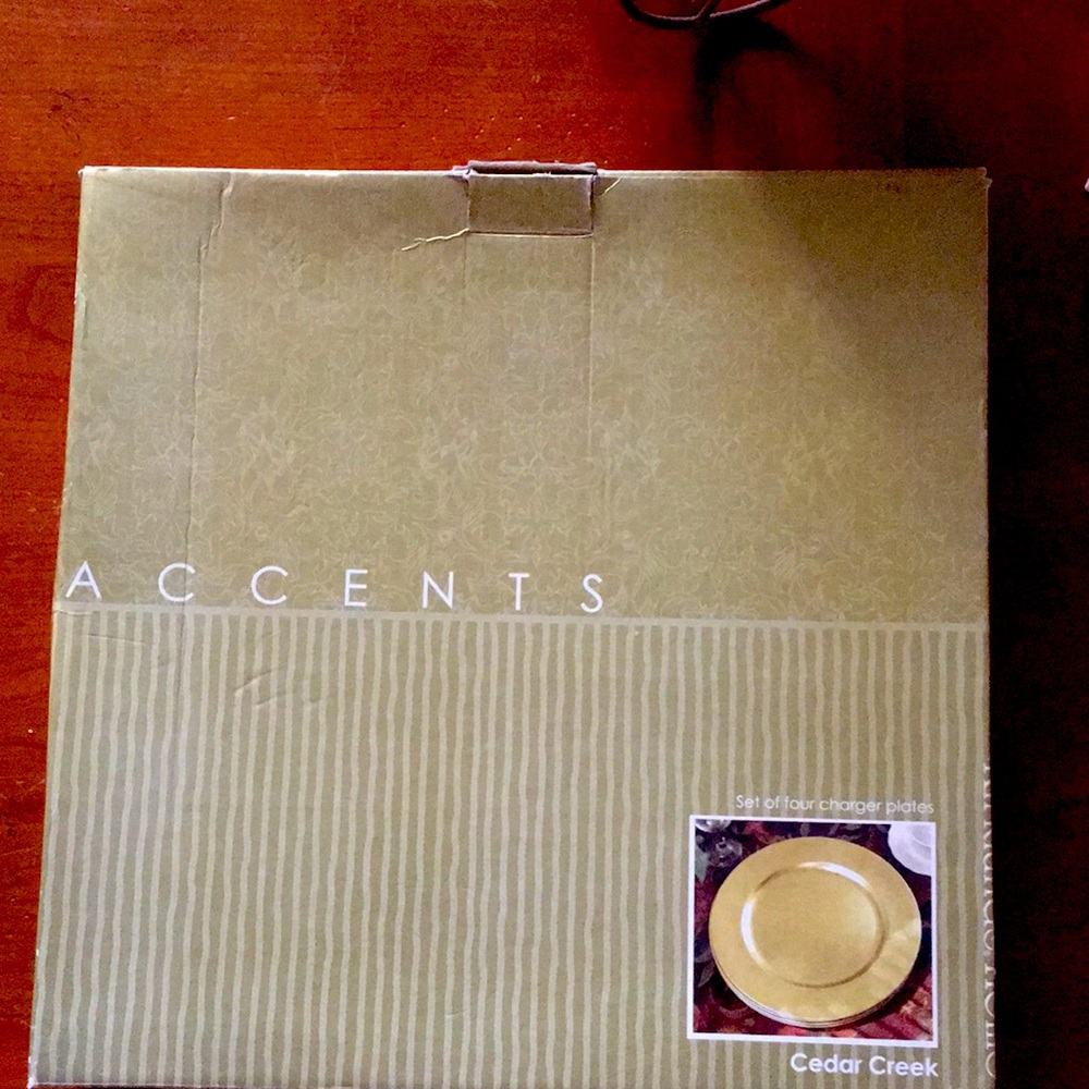 CHARGER PLATES 4 NWT Beautiful Gold color